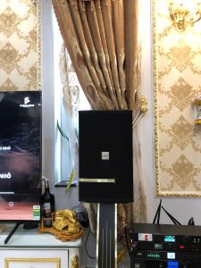 Lắp Đặt Dàn Âm Thanh Karaoke Gia Đình Tại Khu Đại Phú Gia Quy Nhơn 12 z7319579940282 ecbab5d112fced117df82aea16c87a89