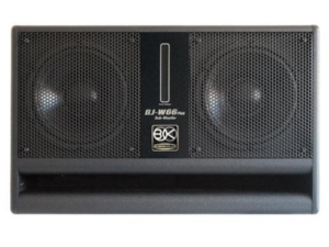 Loa Subwoofer