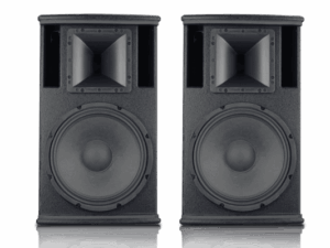 Loa CAVS C12 11 C1211 600x400 2