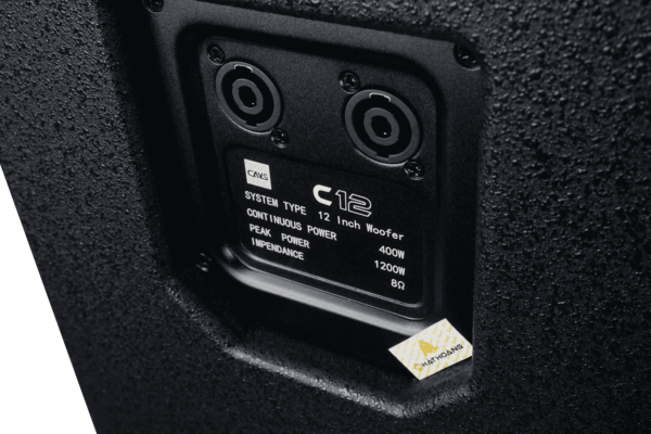 Loa CAVS C12 8 Loa CAVS C12 - Ảnh 7