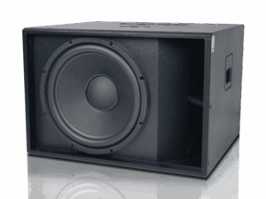 Loa Sub CAVS CX115 11 CX115 6 600x400 2