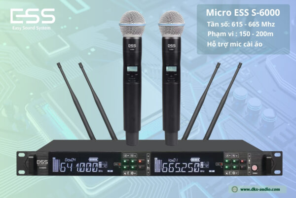 Micro ESS S-6000