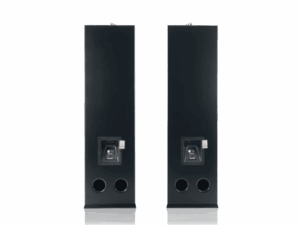 Loa Hi-Fi CAVS TH210 15 TH210 5 600x400 2