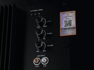 Loa Sub Active CAVS THS12 15 THS12 10 1 600x338 2