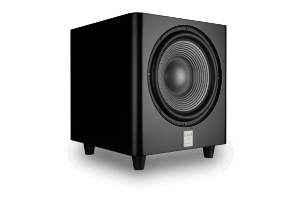 Loa Sub Active CAVS THS12 4 Loa Sub Active CAVS THS12 - Ảnh 2