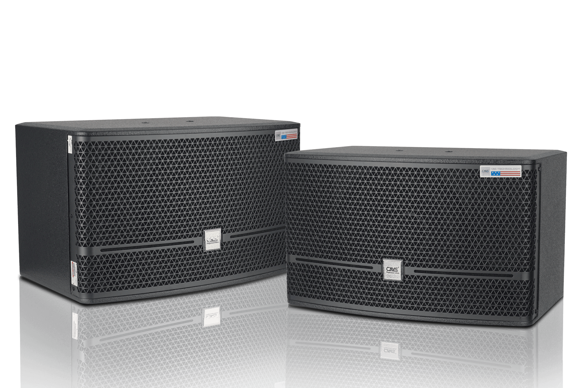 Loa CAVS CK10 3 Loa CAVS CK10