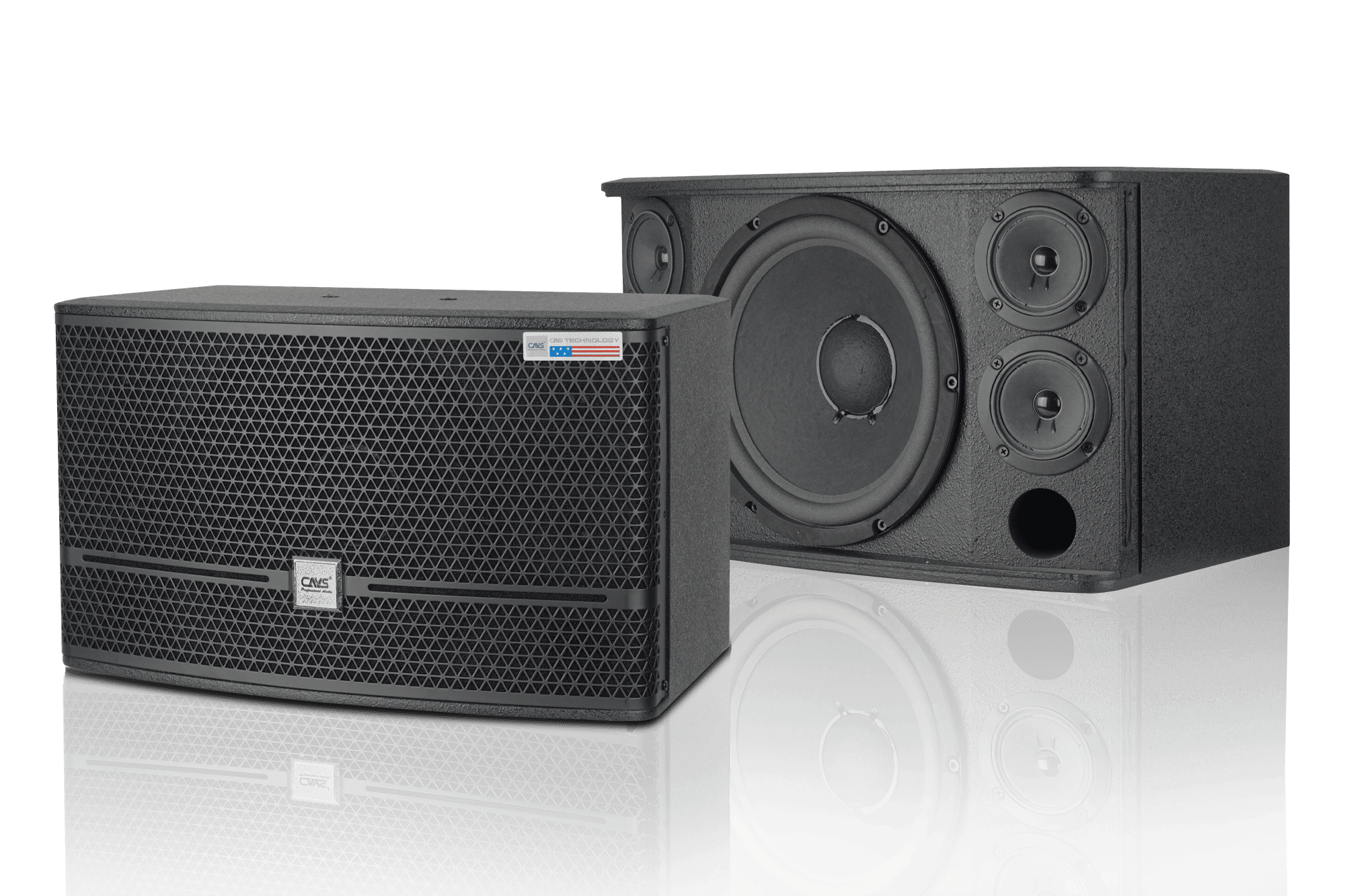 Loa CAVS CK10 4 Loa CAVS CK10 - Ảnh 2