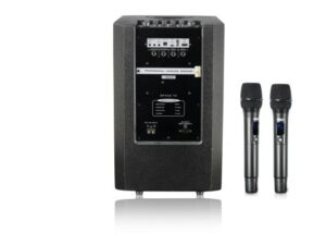 Loa Di Động CAVS SPACE10 12 space 10 4