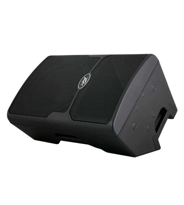Loa PEAVEY PVX-15 - Hình ảnh 5