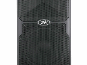 Loa PEAVEY PVX-15