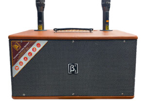 Loa Xách Tay B3 UB-325